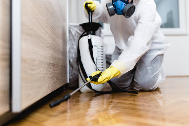 Professional Pest Control in San Castle, FL