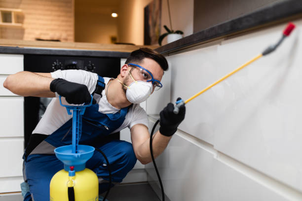 Pest Control for Restaurants in San Castle, FL