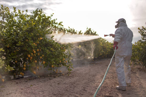 Best Exterminator Services  in San Castle, FL