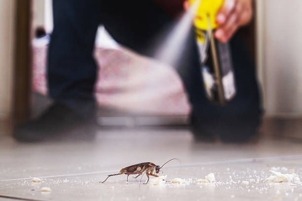 Best Emergency Pest Control  in San Castle, FL