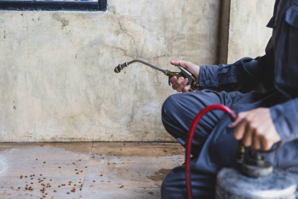 Best Best Pest Control Companies  in San Castle, FL